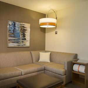 King Room Sofa Bed Accessible Tub Disability Access